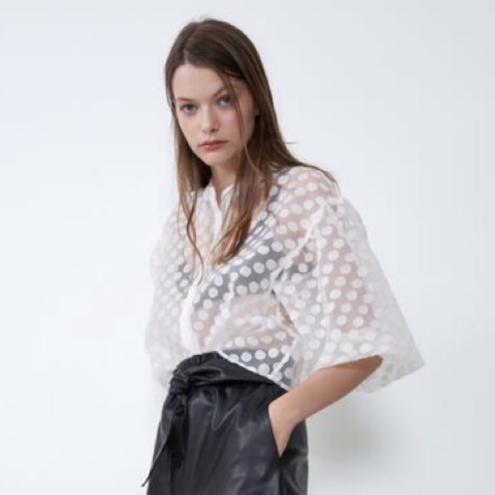 NWT Zara Polka Dot Organza Top